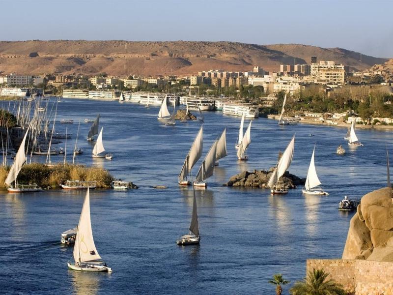 Luxury Pyramids + Tours And Transportations