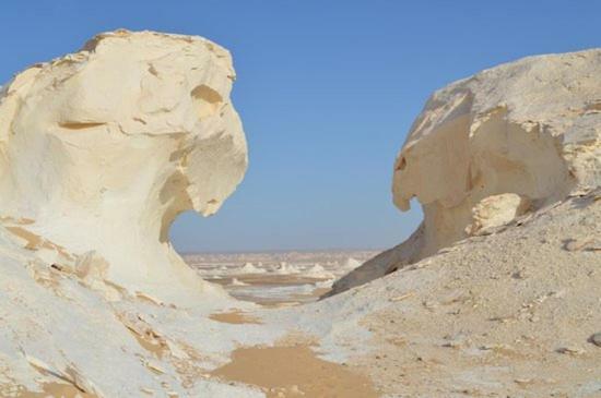 Apartment Luxury Pyramids + Tours And Transportations *
