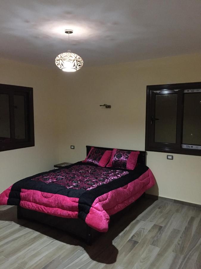 Luxury Pyramids + Tours And Transportations Apartment