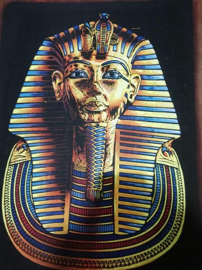 Luxury Pyramids + Tours And Transportations