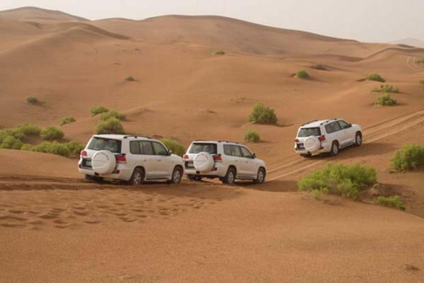 Luxury Pyramids + Tours And Transportations