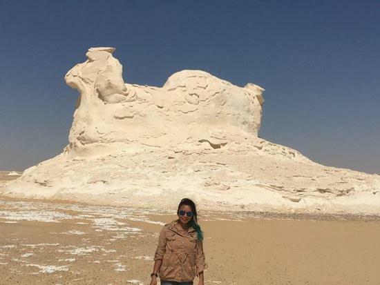 Luxury Pyramids + Tours And Transportations Apartment *