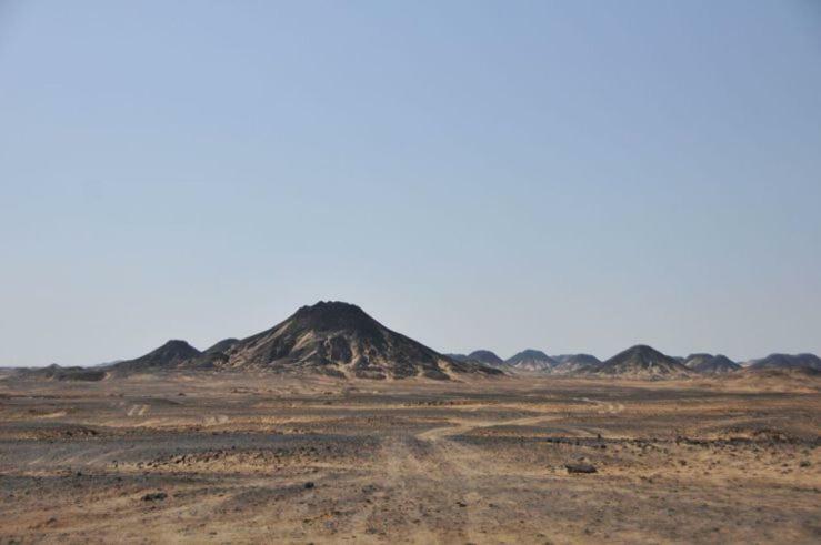 Luxury Pyramids + Tours And Transportations